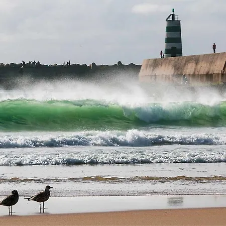 Kerala 49, Deluxe Flat In Historic Center Апартаменты