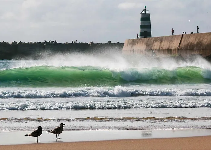 Kerala 49, Deluxe Flat In Historic Center شقة